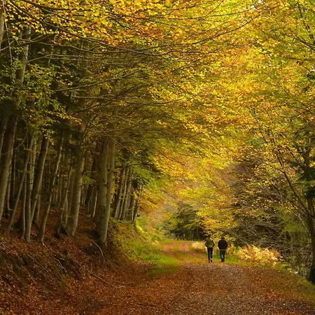 Apartamento Aire De By Bevalle