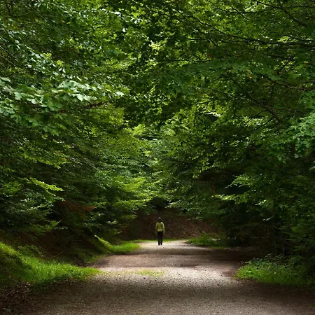 Aire De By Bevalle Apartamento Panticosa