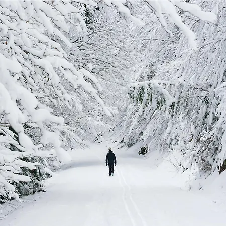 Apartamento Aire De By Bevalle