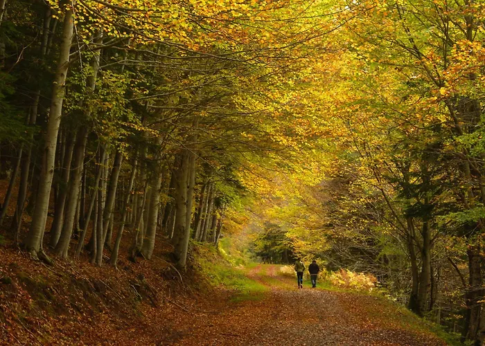 Apartamento Aire De By Bevalle