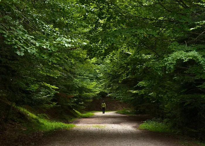 Aire De By Bevalle Apartamento Panticosa