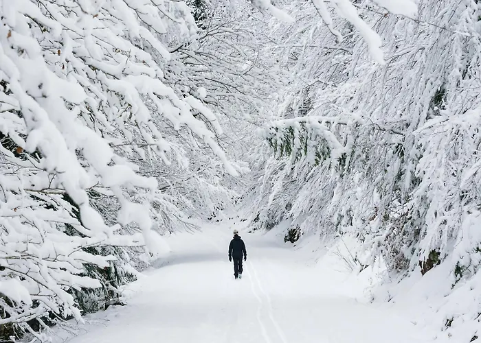 Apartamento Aire De By Bevalle